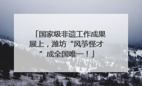 国家级非遗工作成果展上，潍坊“风筝怪才”成全国唯一！