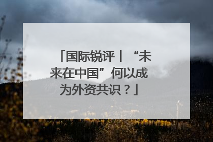 国际锐评丨“未来在中国”何以成为外资共识？