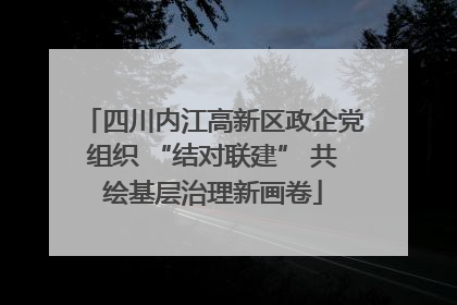 四川内江高新区政企党组织 “结对联建” 共绘基层治理新画卷