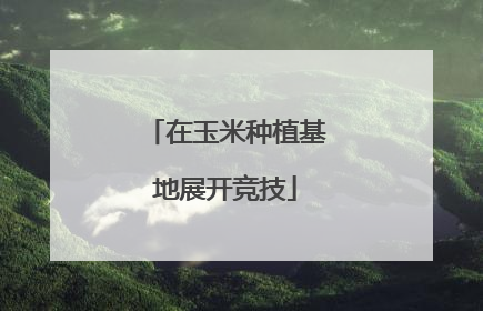 在玉米种植基地展开竞技