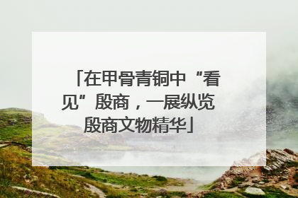 在甲骨青铜中“看见”殷商，一展纵览殷商文物精华