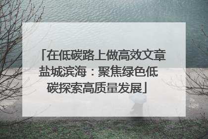 在低碳路上做高效文章 盐城滨海：聚焦绿色低碳探索高质量发展