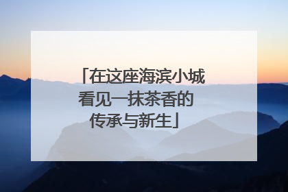 在这座海滨小城 看见一抹茶香的传承与新生