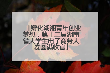 孵化湖湘青年创业梦想，第十二届湖南省大学生电子商务大赛圆满收官