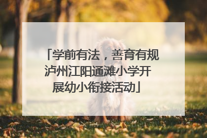 学前有法，善育有规 泸州江阳通滩小学开展幼小衔接活动