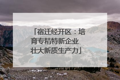 宿迁经开区：培育专精特新企业 壮大新质生产力
