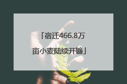 宿迁466.8万亩小麦陆续开镰