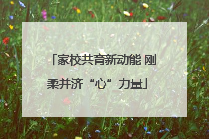 家校共育新动能 刚柔并济“心”力量