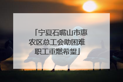 宁夏石嘴山市惠农区总工会助困难职工重燃希望