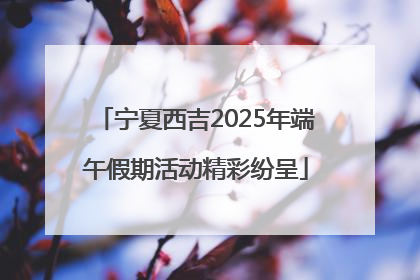 宁夏西吉2025年端午假期活动精彩纷呈
