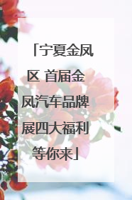 宁夏金凤区 首届金凤汽车品牌展四大福利等你来