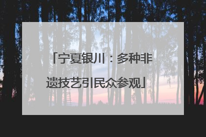 宁夏银川：多种非遗技艺引民众参观