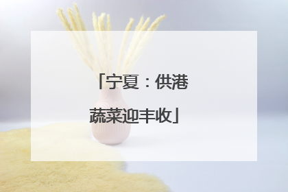 宁夏：供港蔬菜迎丰收