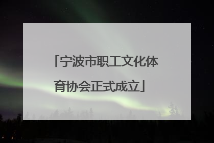 宁波市职工文化体育协会正式成立