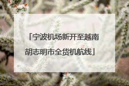 宁波机场新开至越南胡志明市全货机航线