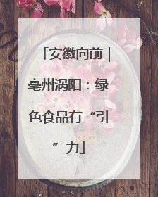 安徽向前｜亳州涡阳：绿色食品有“引”力