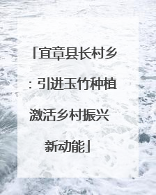 宜章县长村乡：引进玉竹种植 激活乡村振兴新动能