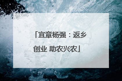 宜章杨强：返乡创业 助农兴农