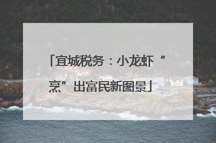宜城税务：小龙虾“烹”出富民新图景