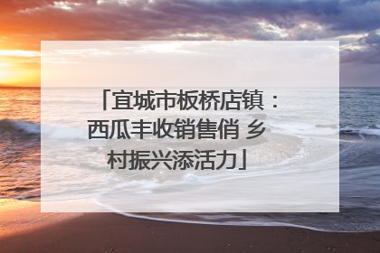宜城市板桥店镇：西瓜丰收销售俏 乡村振兴添活力