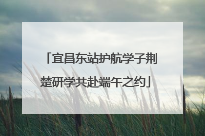 宜昌东站护航学子荆楚研学共赴端午之约