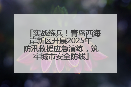 实战练兵！青岛西海岸新区开展2025年防汛救援应急演练，筑牢城市安全防线