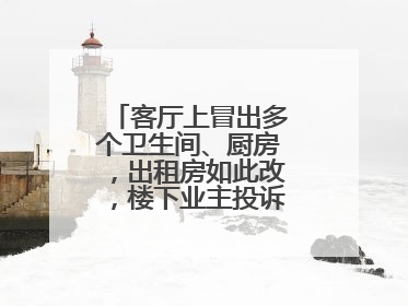 客厅上冒出多个卫生间、厨房，出租房如此改，楼下业主投诉：多少不舒服
