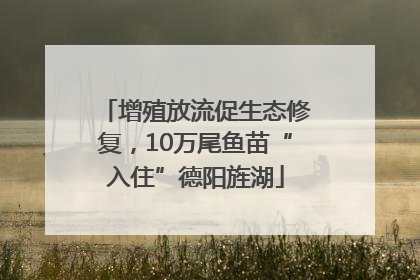 增殖放流促生态修复，10万尾鱼苗“入住”德阳旌湖