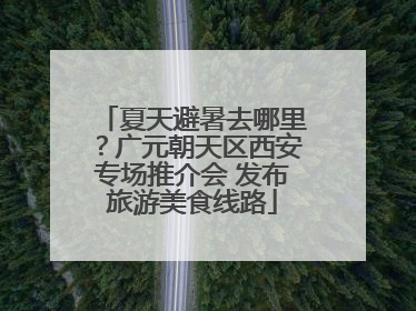 夏天避暑去哪里？广元朝天区西安专场推介会 发布旅游美食线路
