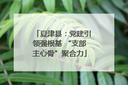 夏津县：党建引领强根基 “支部主心骨”聚合力