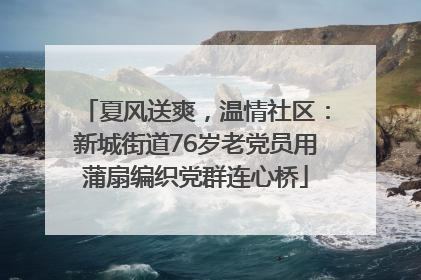 夏风送爽，温情社区：新城街道76岁老党员用蒲扇编织党群连心桥