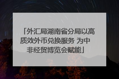 外汇局湖南省分局以高质效外币兑换服务 为中非经贸博览会赋能