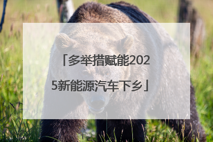 多举措赋能2025新能源汽车下乡