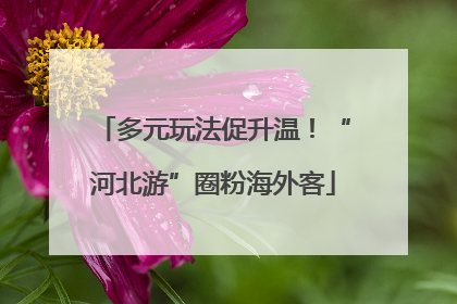多元玩法促升温！“河北游”圈粉海外客