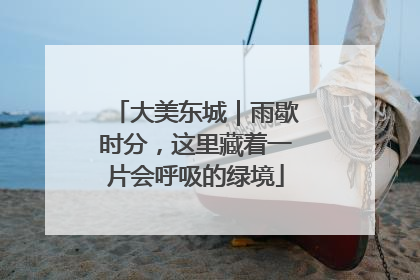 大美东城｜雨歇时分，这里藏着一片会呼吸的绿境