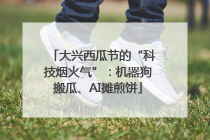 大兴西瓜节的“科技烟火气”：机器狗搬瓜、AI摊煎饼