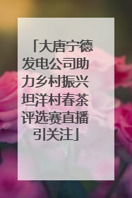大唐宁德发电公司助力乡村振兴坦洋村春茶评选赛直播引关注