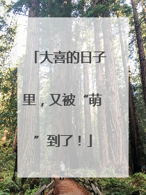 大喜的日子里，又被“萌”到了！