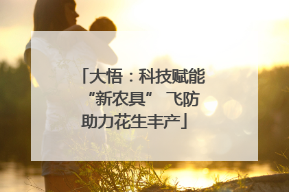 大悟：科技赋能“新农具” 飞防助力花生丰产