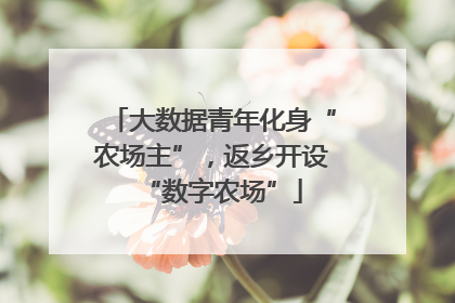 大数据青年化身“农场主”，返乡开设“数字农场”