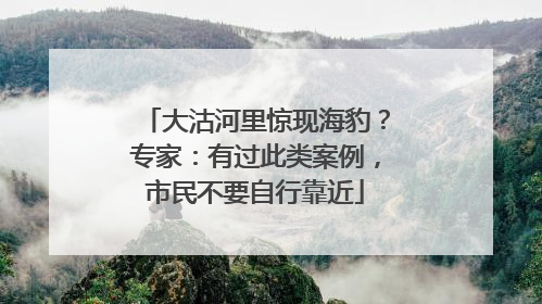 大沽河里惊现海豹？专家：有过此类案例，市民不要自行靠近