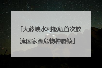 大藤峡水利枢纽首次放流国家濒危物种唇鲮