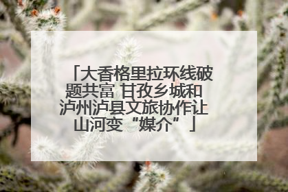 大香格里拉环线破题共富 甘孜乡城和泸州泸县文旅协作让山河变“媒介”