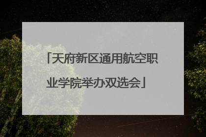 天府新区通用航空职业学院举办双选会