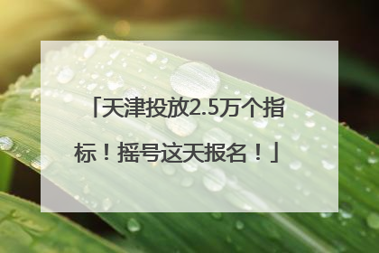 天津投放2.5万个指标！摇号这天报名！