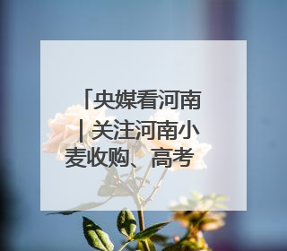 央媒看河南｜关注河南小麦收购、高考保障等内容