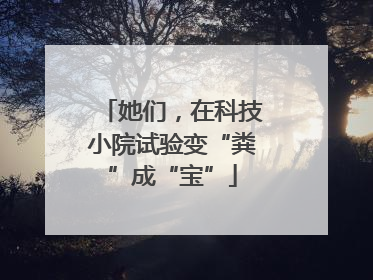 她们，在科技小院试验变“粪”成“宝”