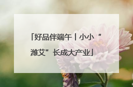 好品伴端午丨小小“潍艾”长成大产业