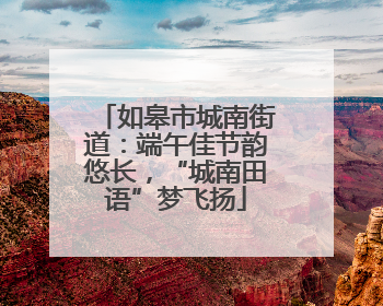 如皋市城南街道：端午佳节韵悠长，“城南田语”梦飞扬