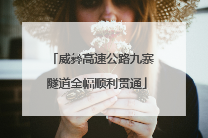 威彝高速公路九寨隧道全幅顺利贯通